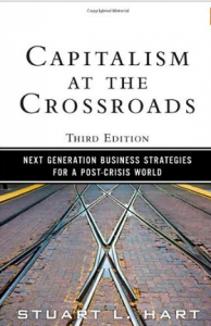 capitalism at the crossroads