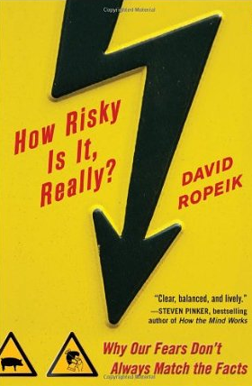 how risky is it really