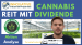 Mit Cannabis konservativ Dividende kassieren? Innovative Industrial Properties Aktie (REIT)